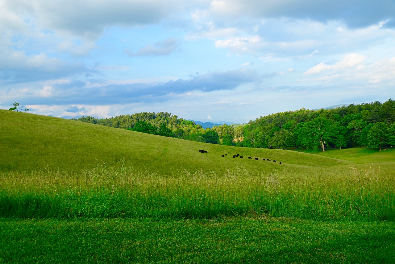 mountains carolina pasture free photo