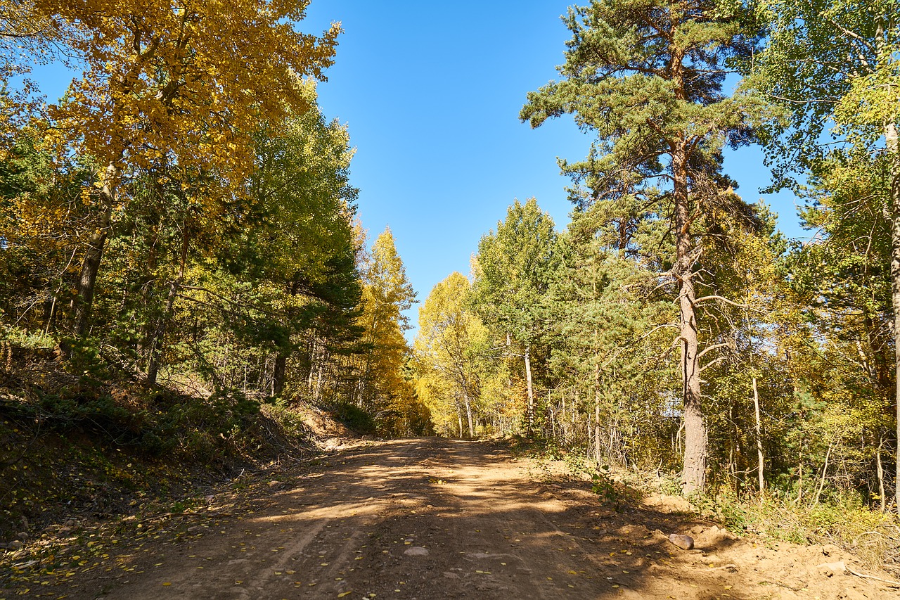 mountains trees autumn free photo