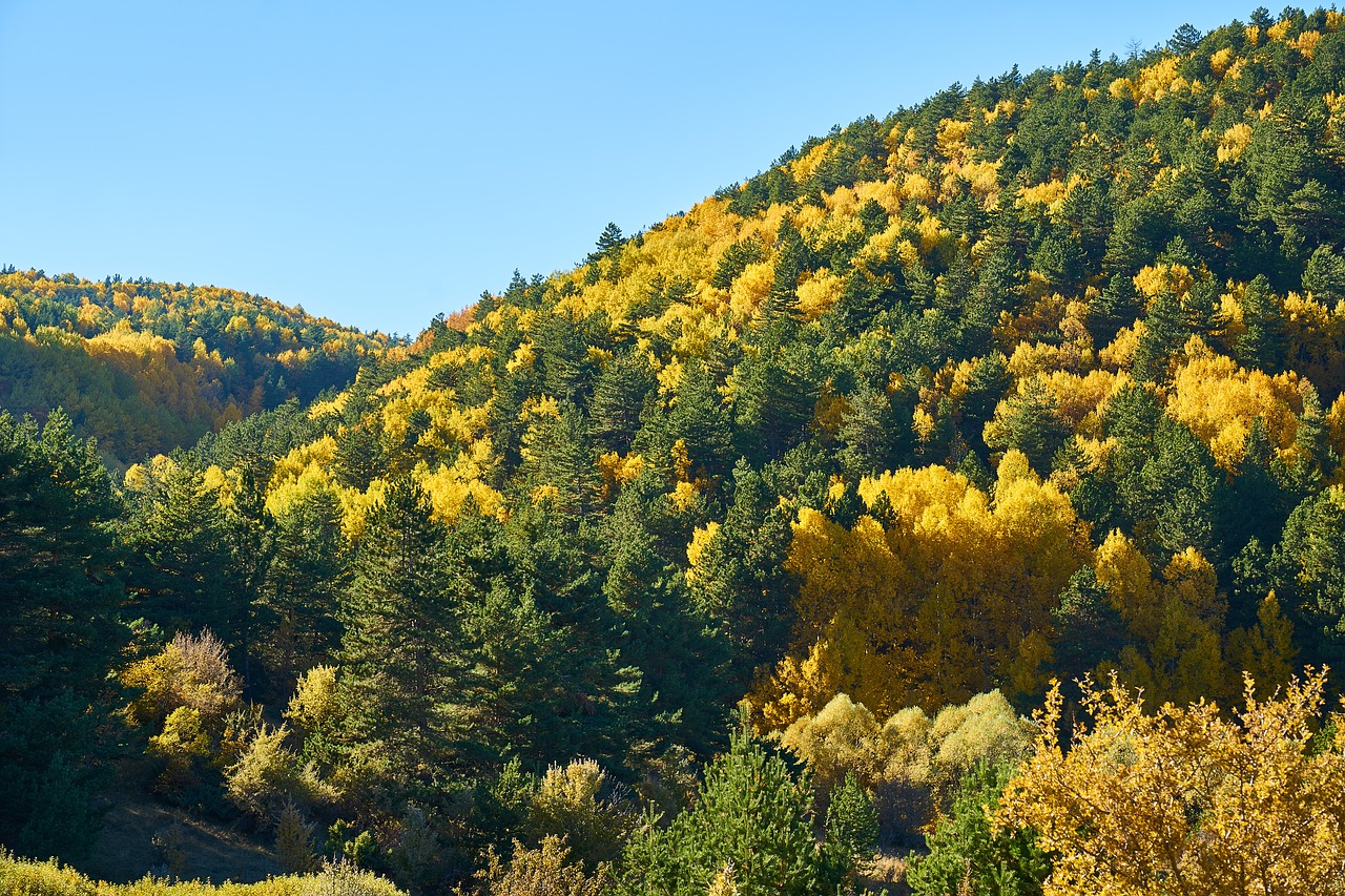 mountains trees autumn free photo