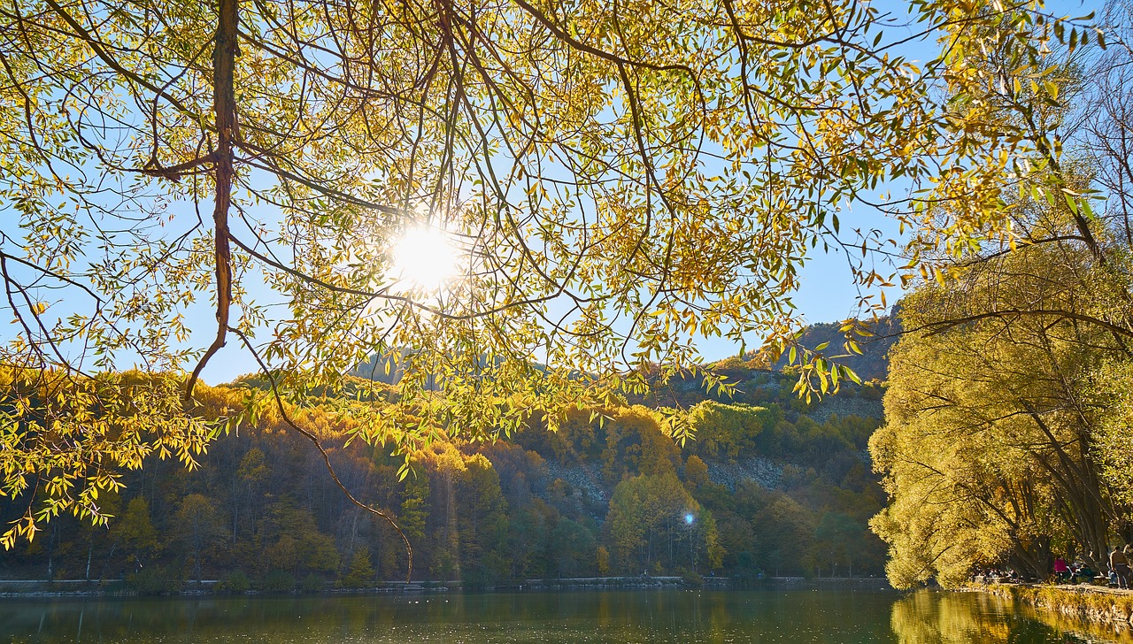 mountains trees autumn free photo