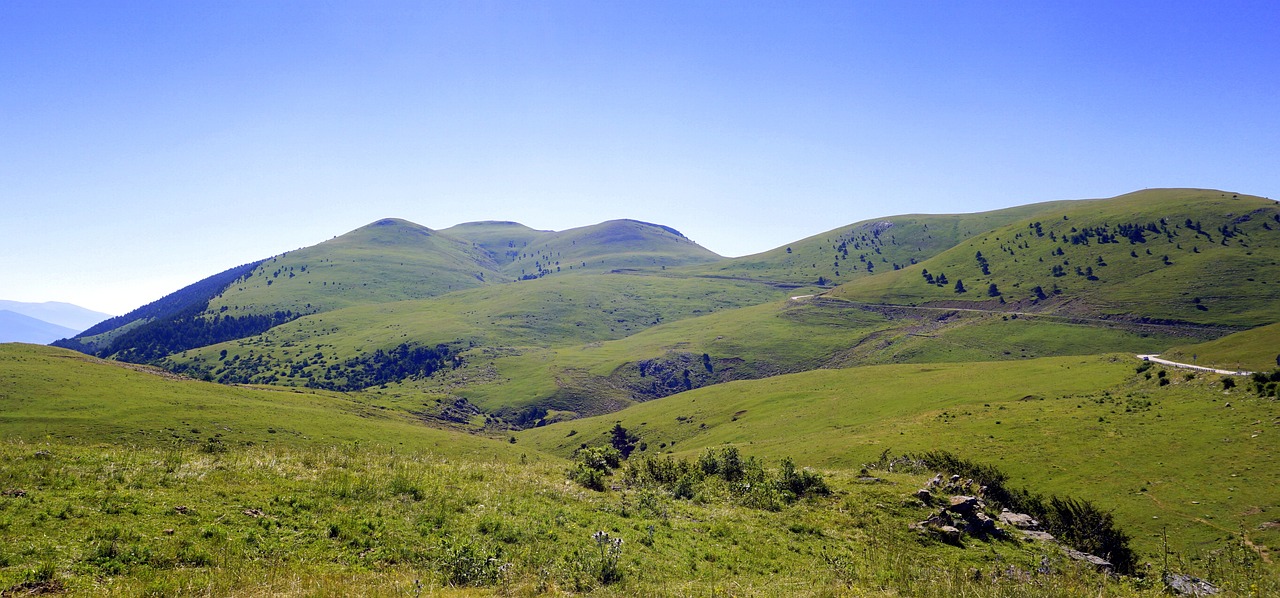 mountains meadows green free photo