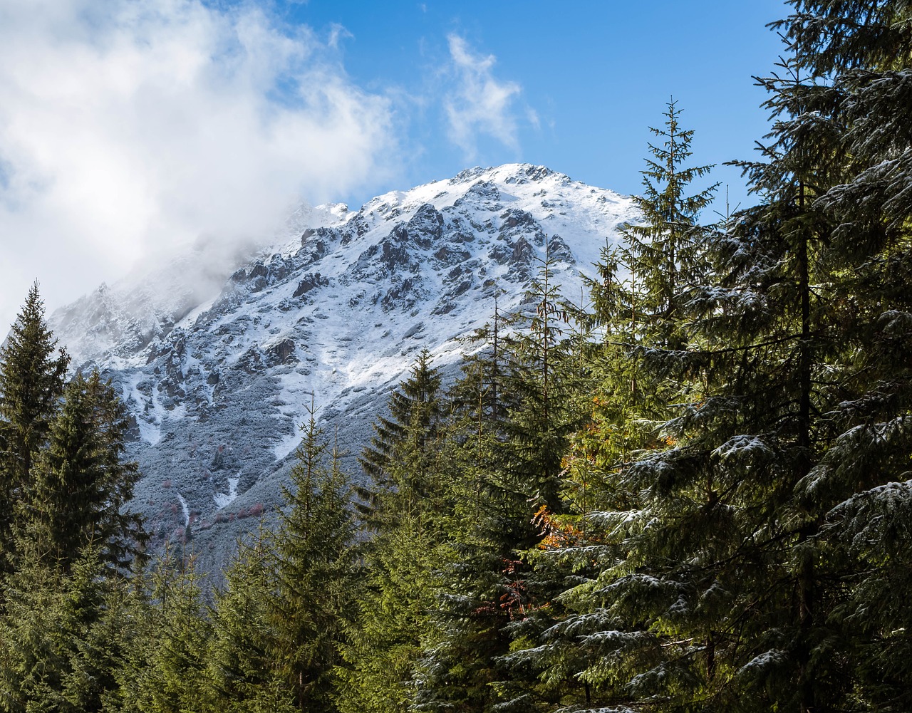 mountains tatry snow free photo