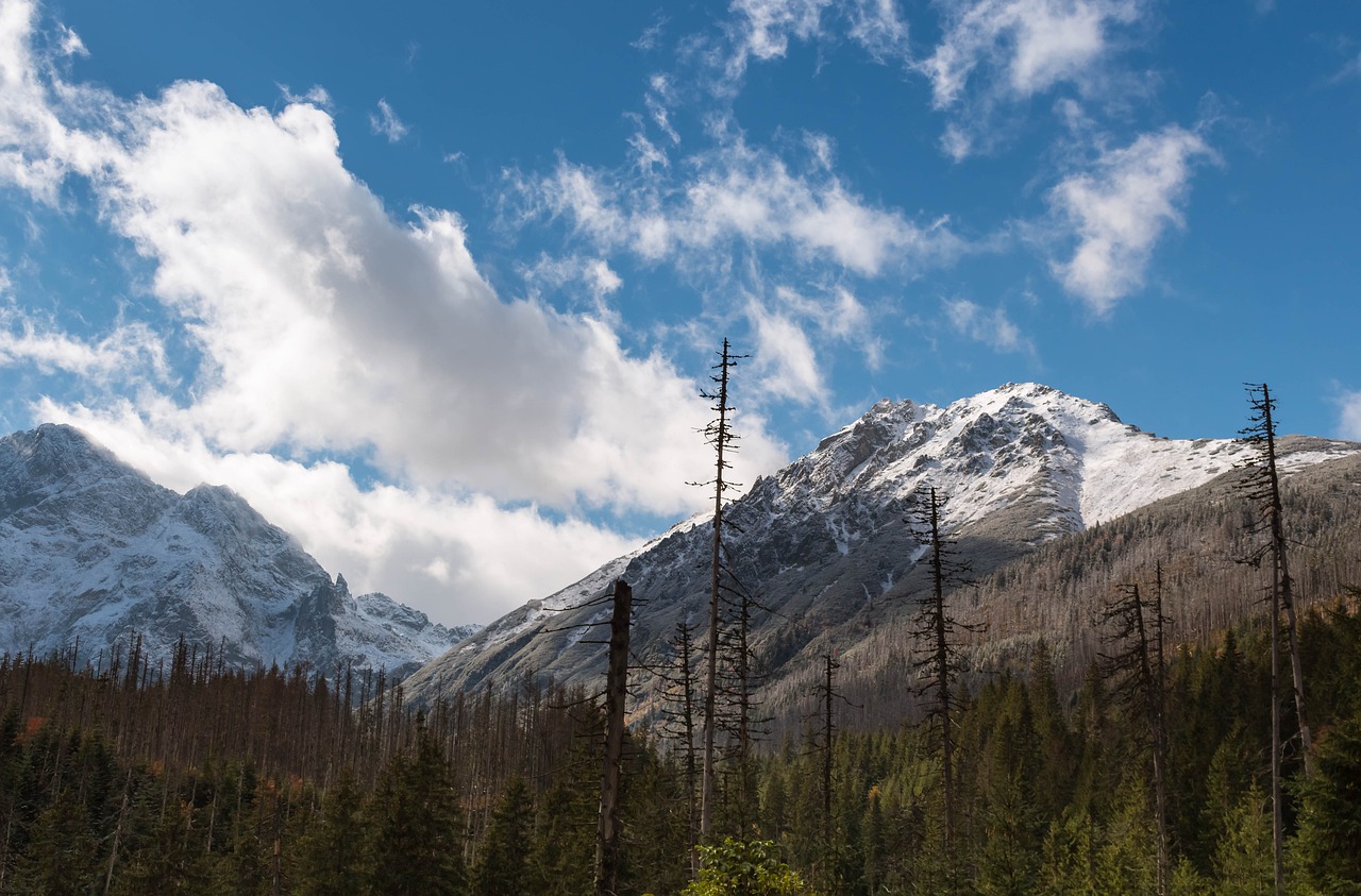 mountains tatry snow free photo