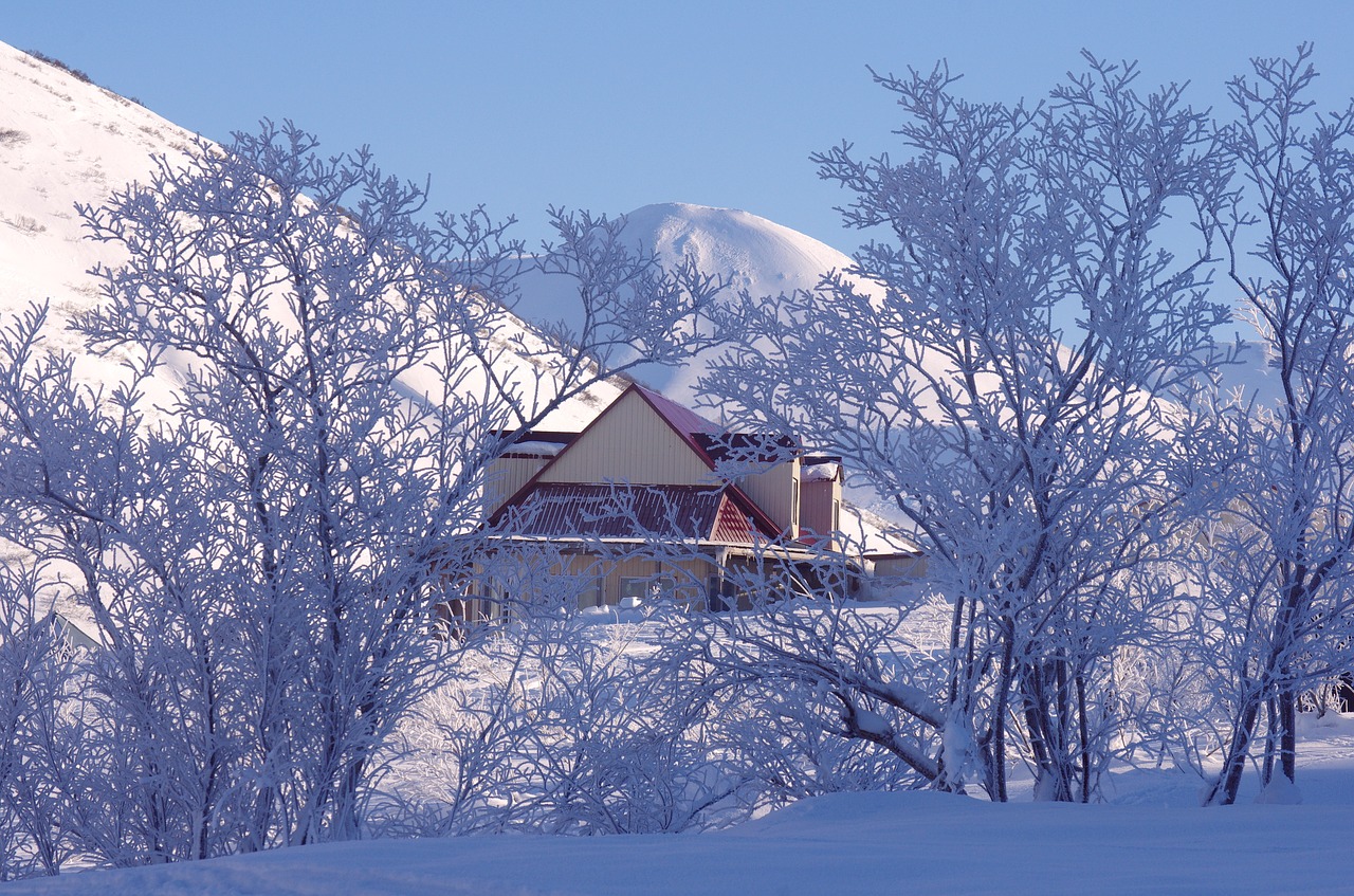 mountains forest winter free photo