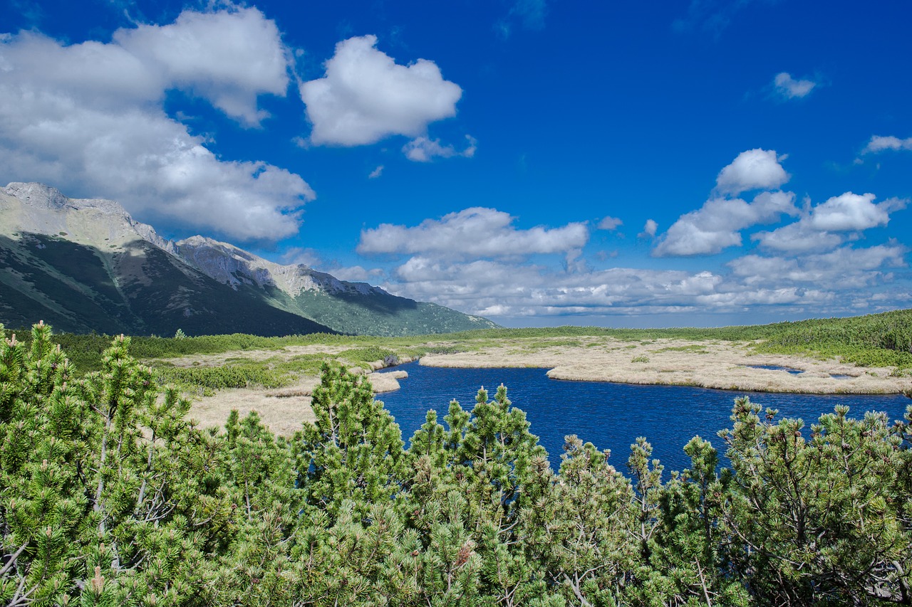 mountains nature high tatras free photo