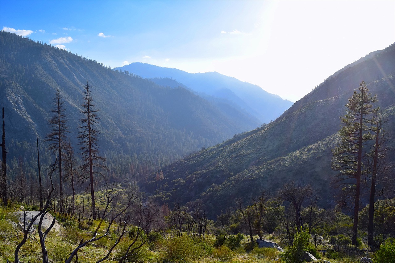 mountains  nature  tree free photo