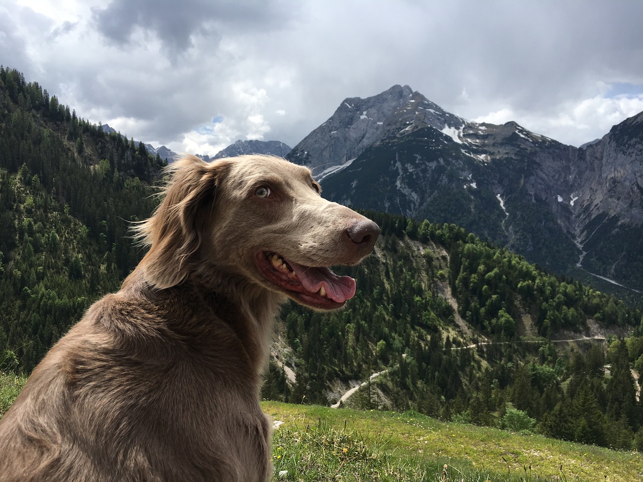 mountains  hiking  austria free photo