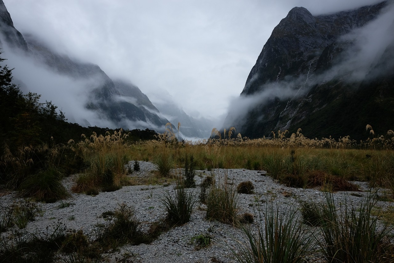 mountains  mist  fog free photo