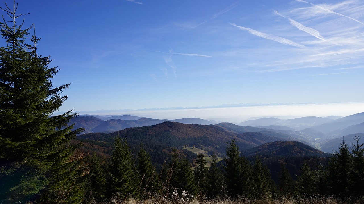 mountains  alpine  black forest free photo