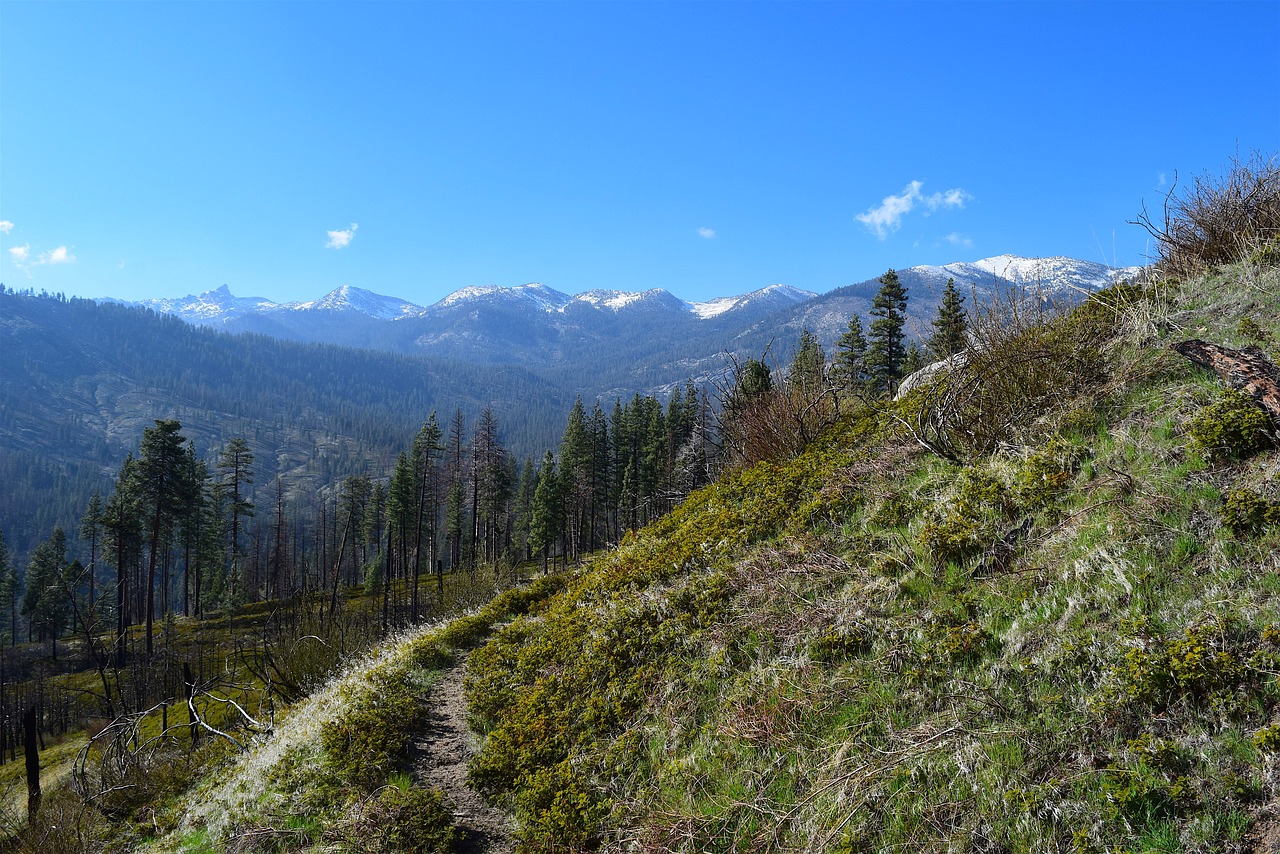 mountains  nature  trees free photo