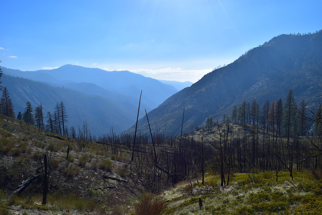 mountains  nature  trees free photo