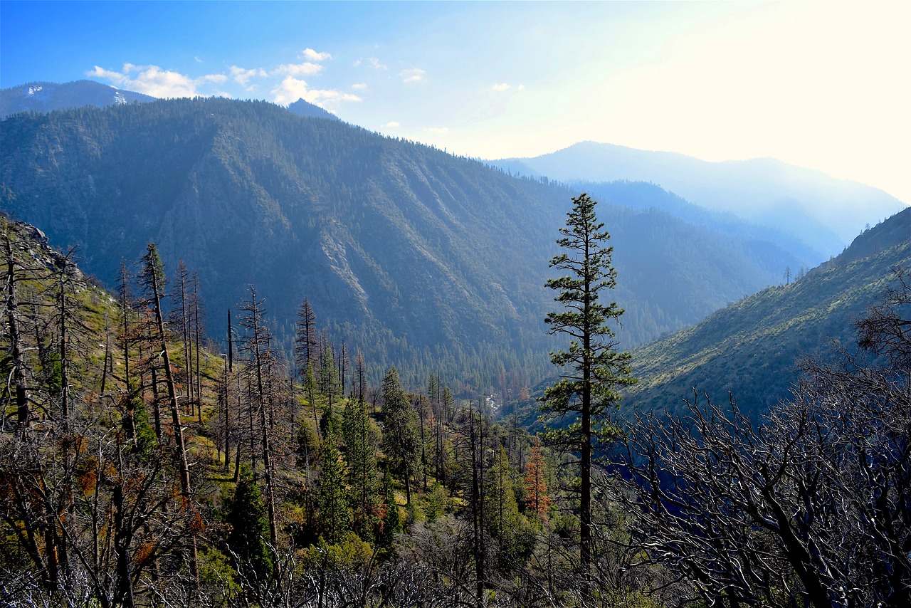 mountains  nature  trees free photo