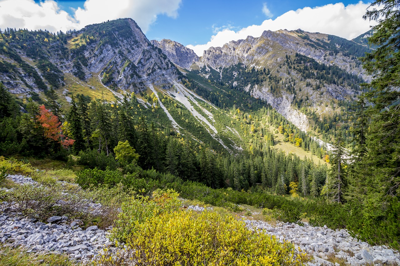 mountains  karwendel  alpine free photo