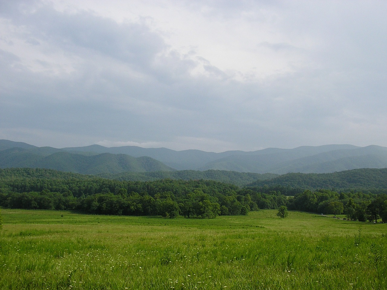 mountains tennessee field free photo