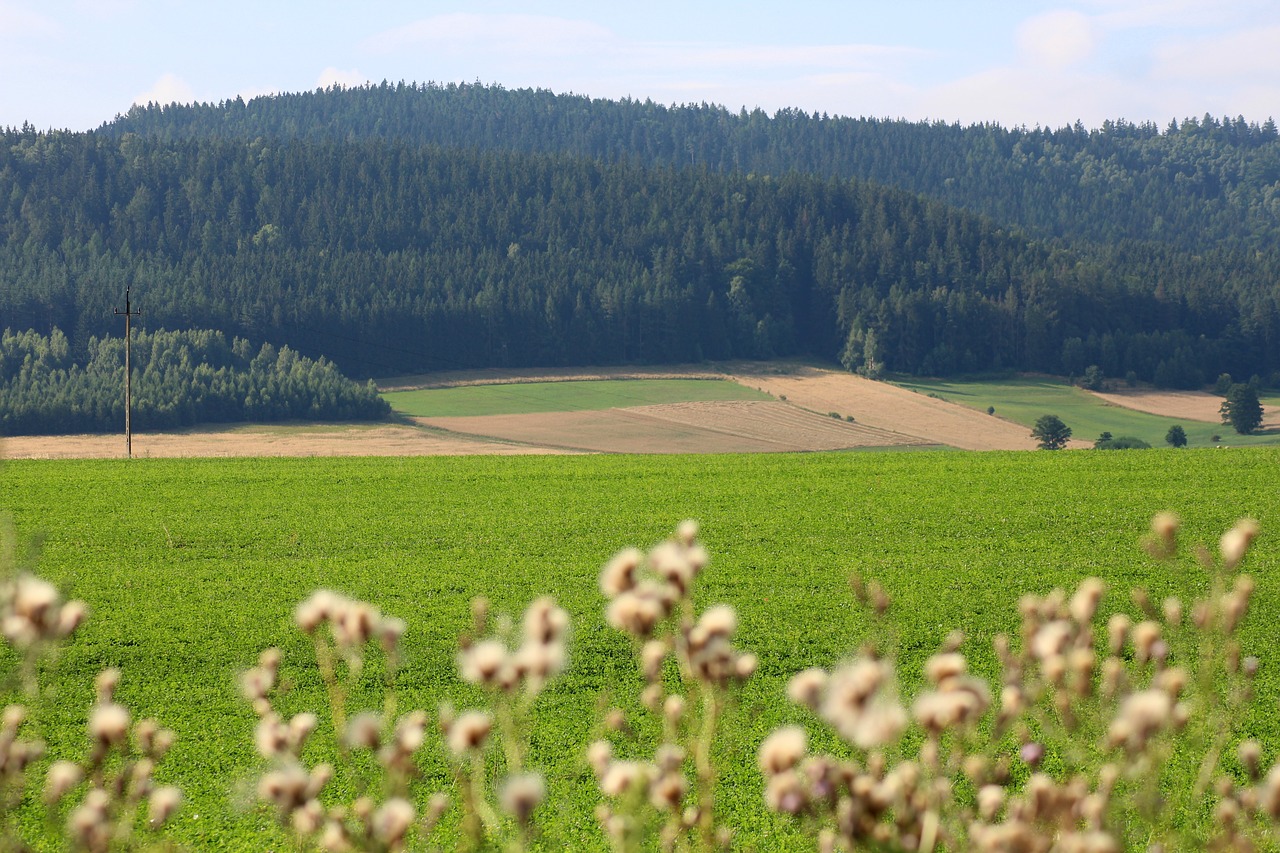 mountains  view  landscape free photo