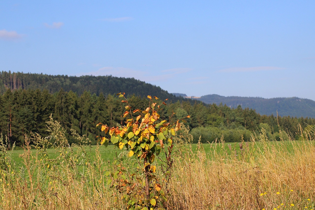 mountains  landscape  view free photo