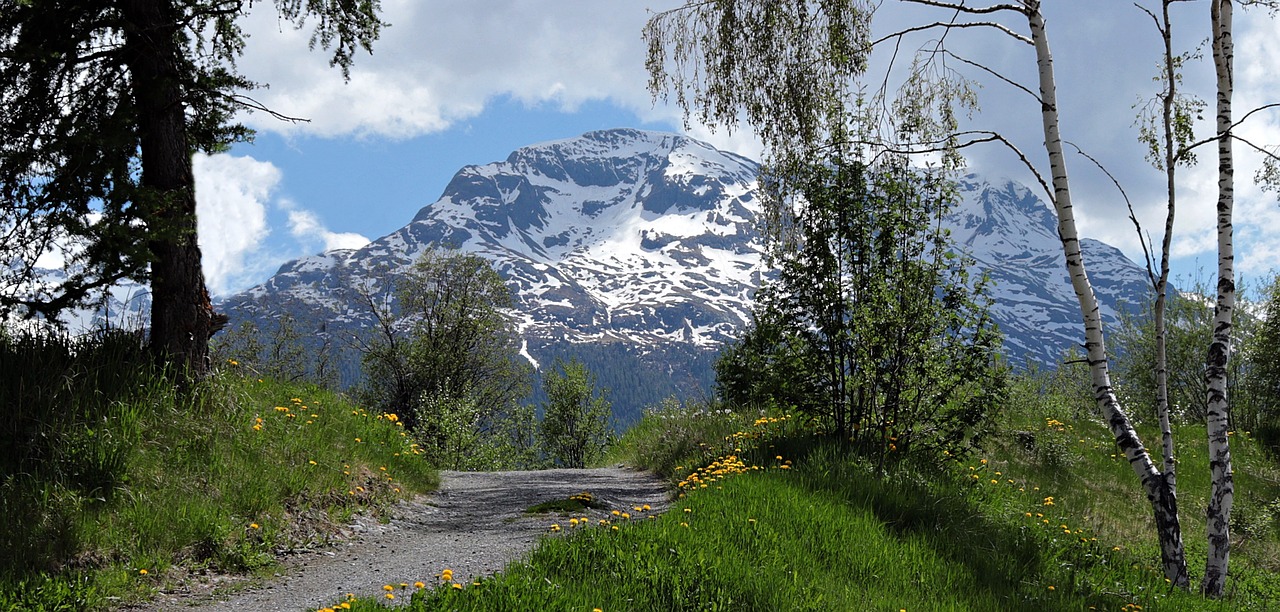 mountains  meadow  summer free photo