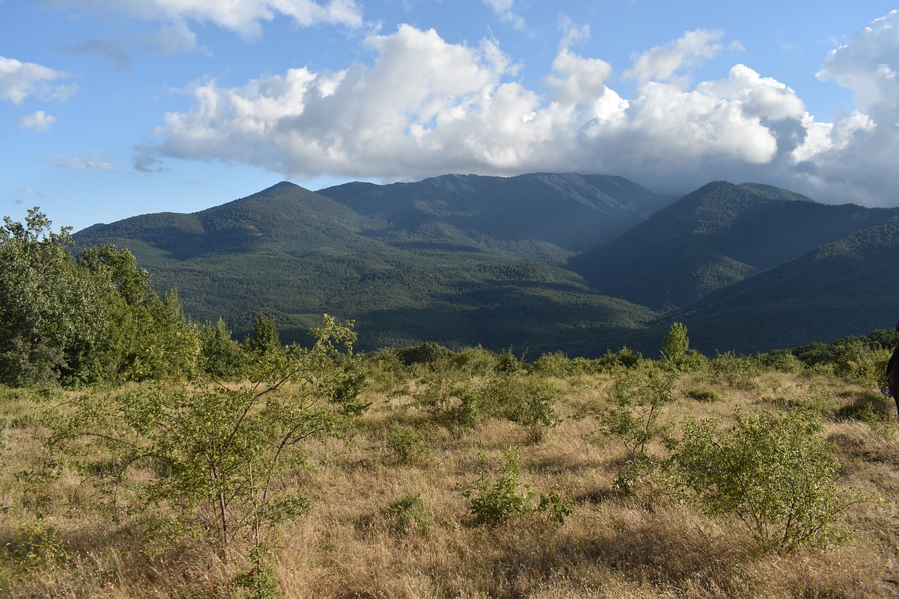 mountains  forest  landscape free photo