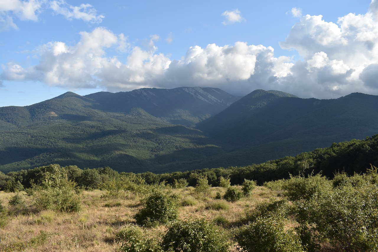 mountains  forest  landscape free photo