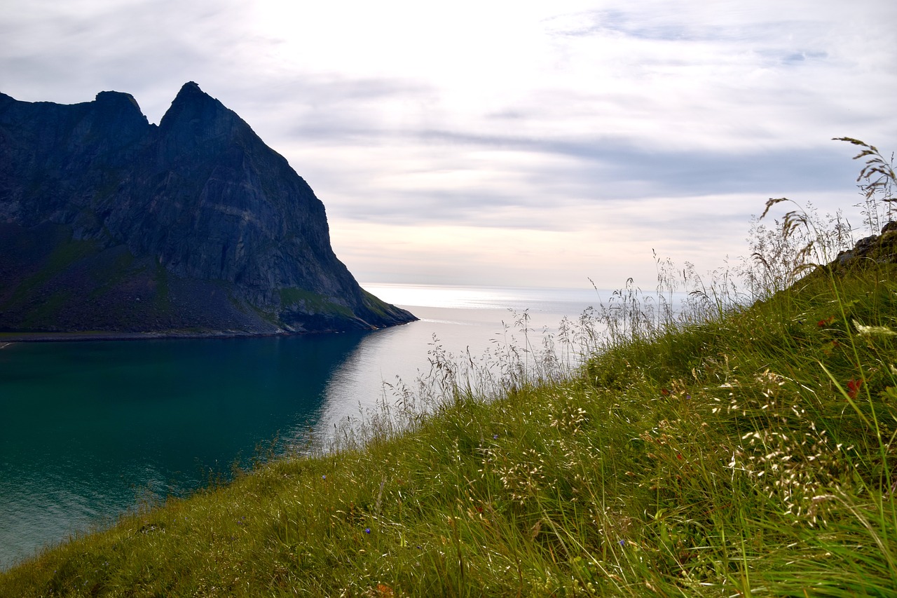 mountains  meadow  landscape free photo