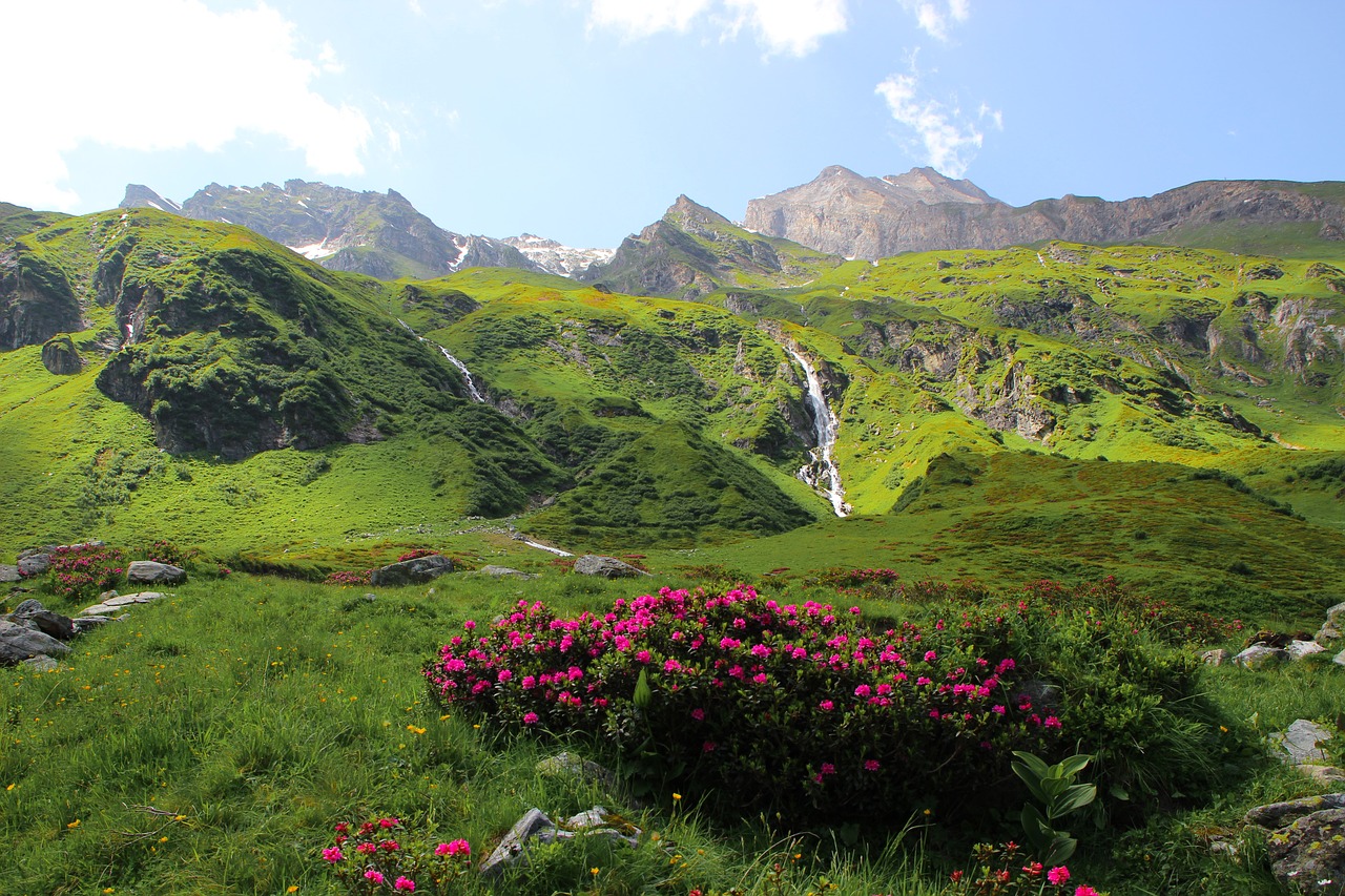 mountains  nature  austria free photo