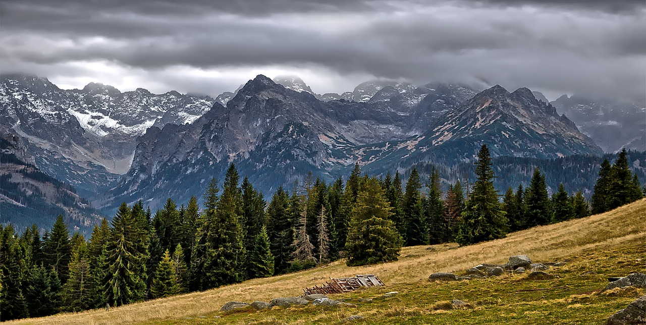 mountains  view  tops free photo