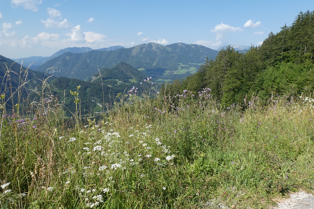 mountains  austria  holiday free photo