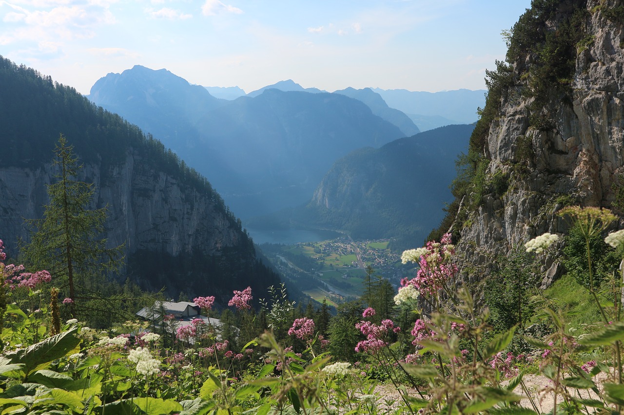 mountains  alpine  austria free photo