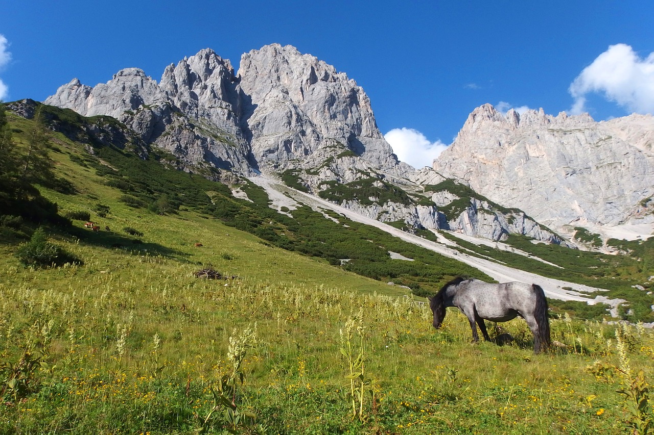 mountains  the horse  landscape free photo