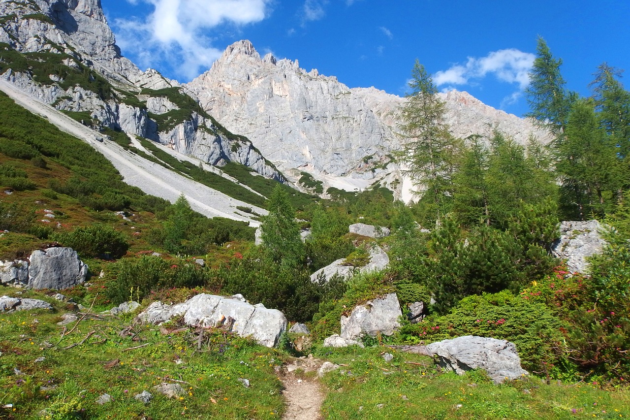 mountains  landscape  tree free photo