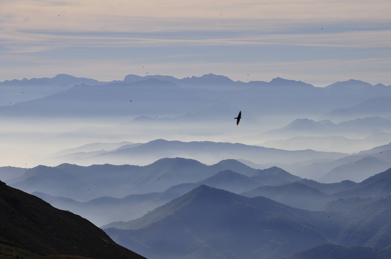 mountains  landscape  morning free photo