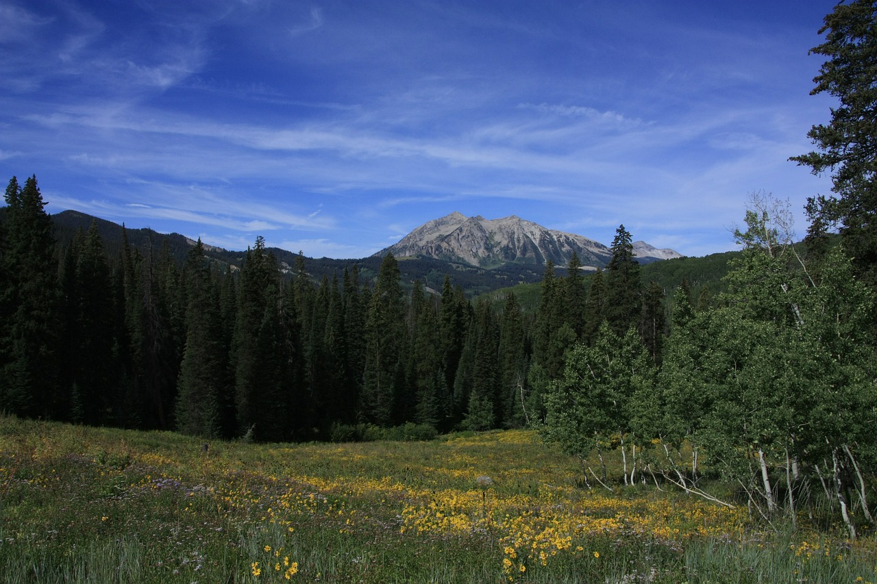 mountains colorado crested butte free photo
