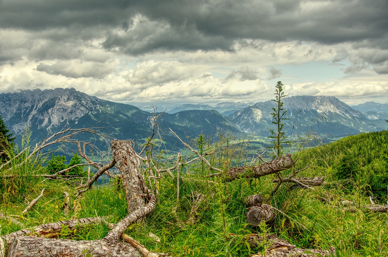 mountains  alps  alpine free photo