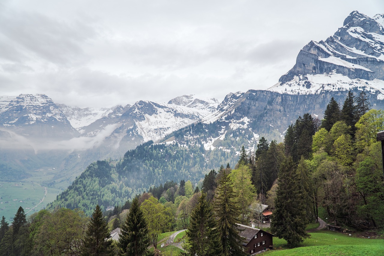 mountains  snow  grass free photo