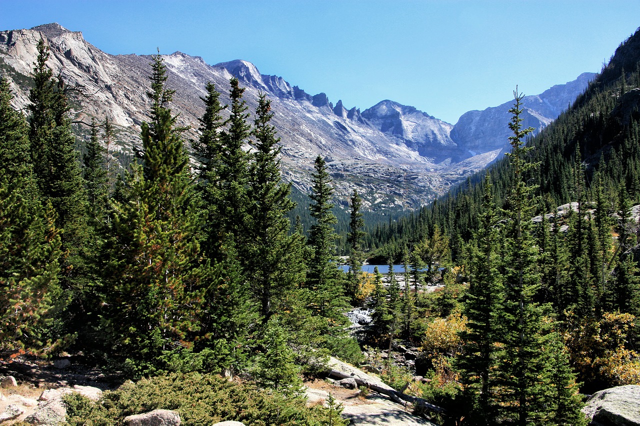 mountains forest trees free photo