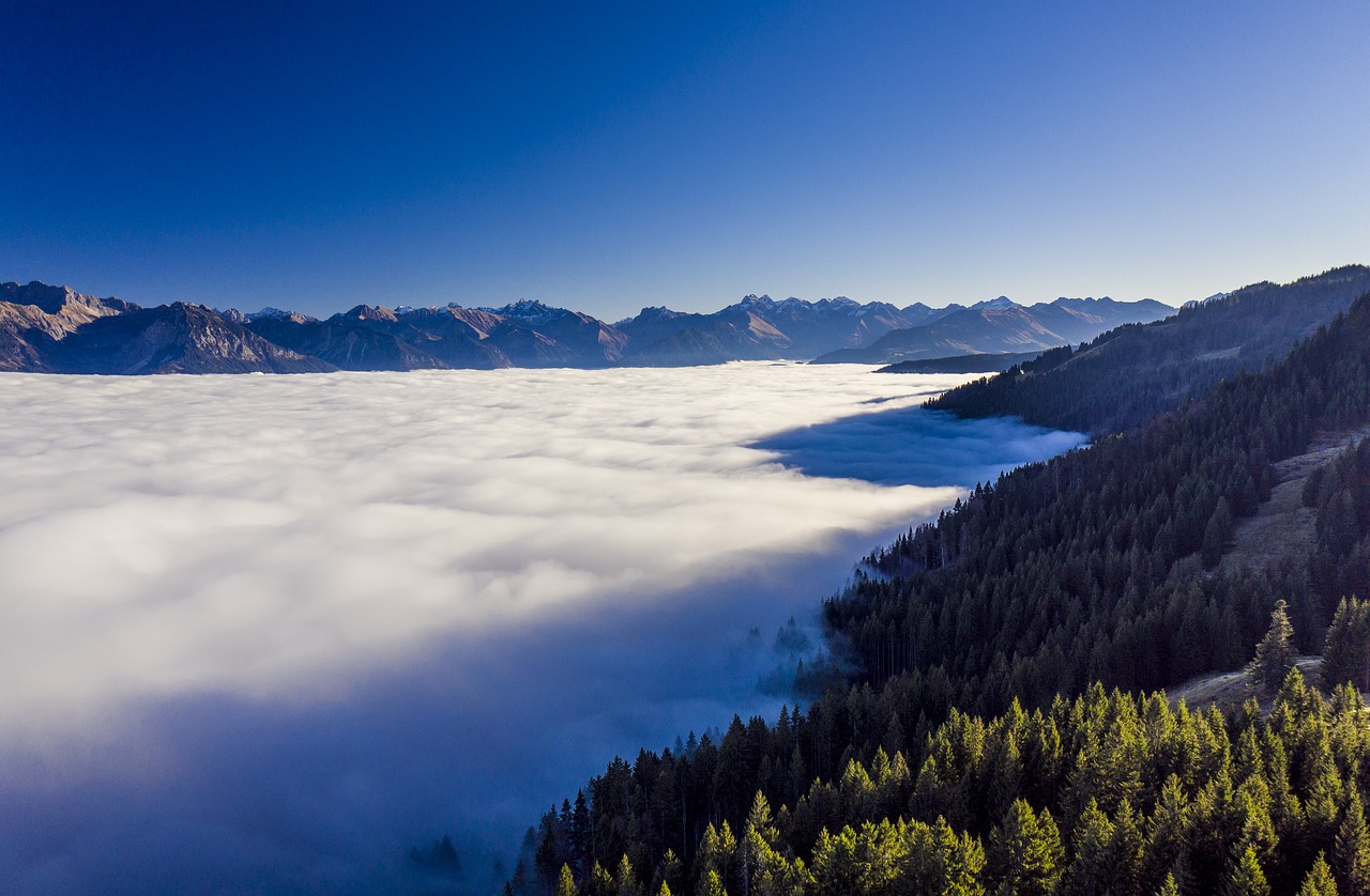 mountains  fog  alpine free photo