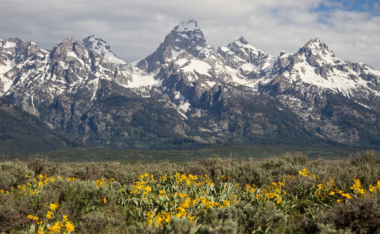 mountains  range  landscape free photo