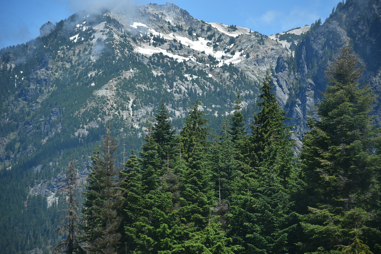 mountains  clouds  evergreen free photo