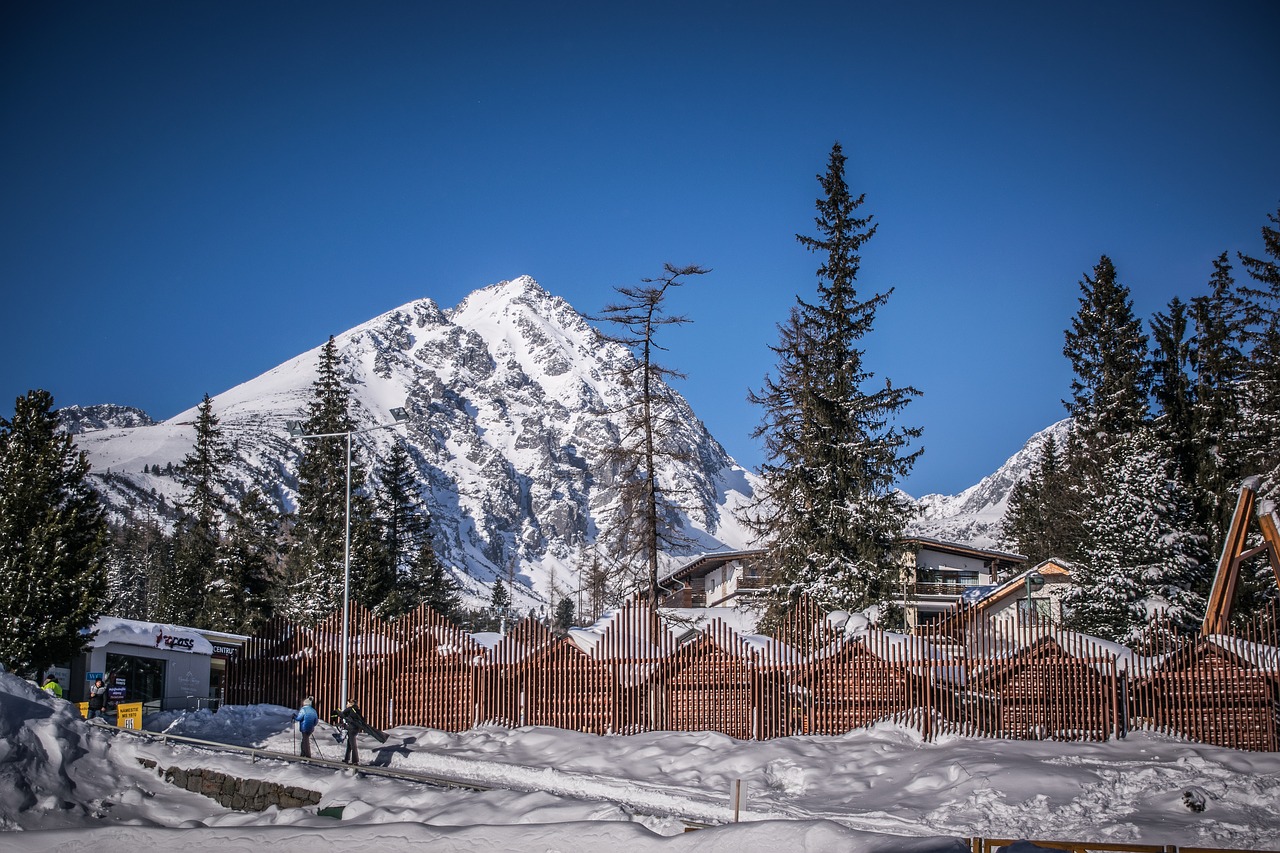 mountains  winter  snow free photo