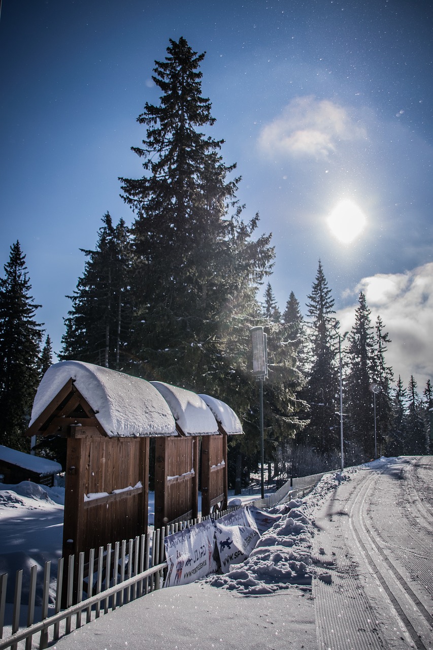 mountains  winter  snow free photo