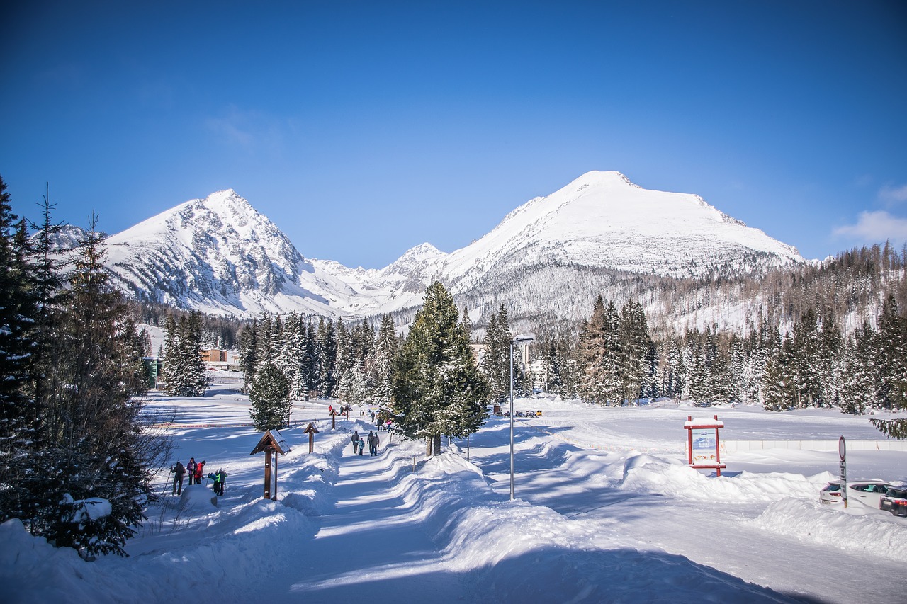 mountains  winter  snow free photo