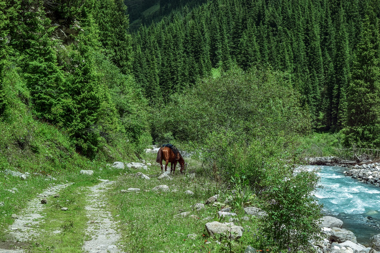 mountains  tianshan  snow free photo