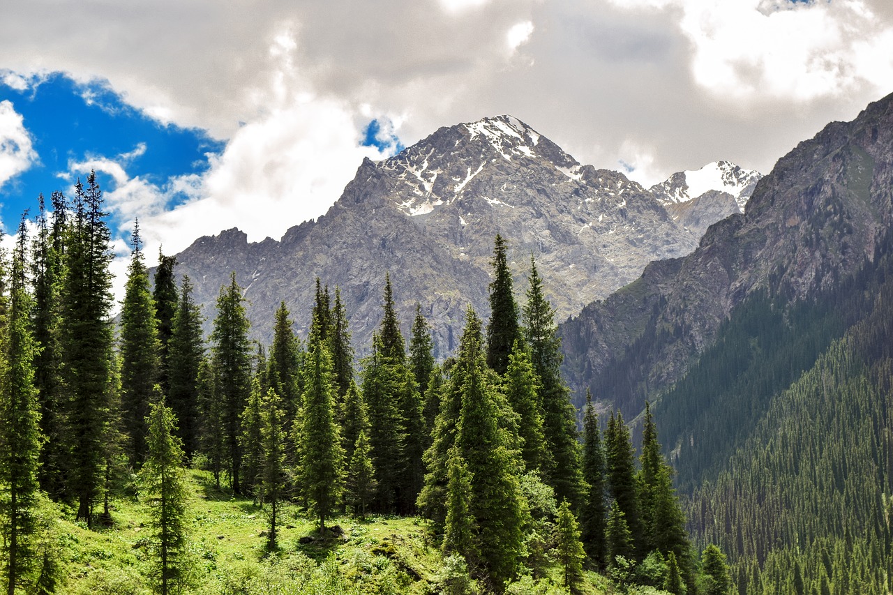 mountains  tianshan  snow free photo