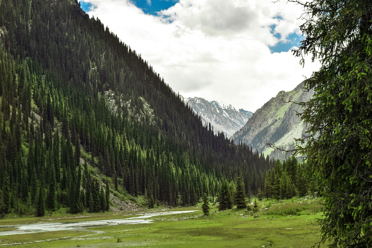 mountains  tianshan  snow free photo