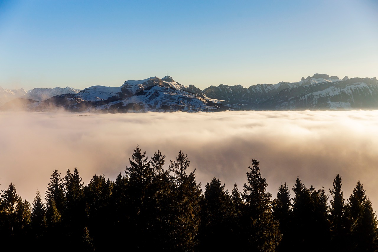 mountains  fog  trees free photo