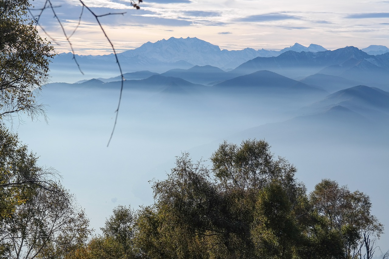 mountains  fog  alpine free photo