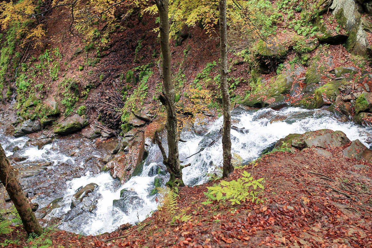 mountains  small river  creek free photo