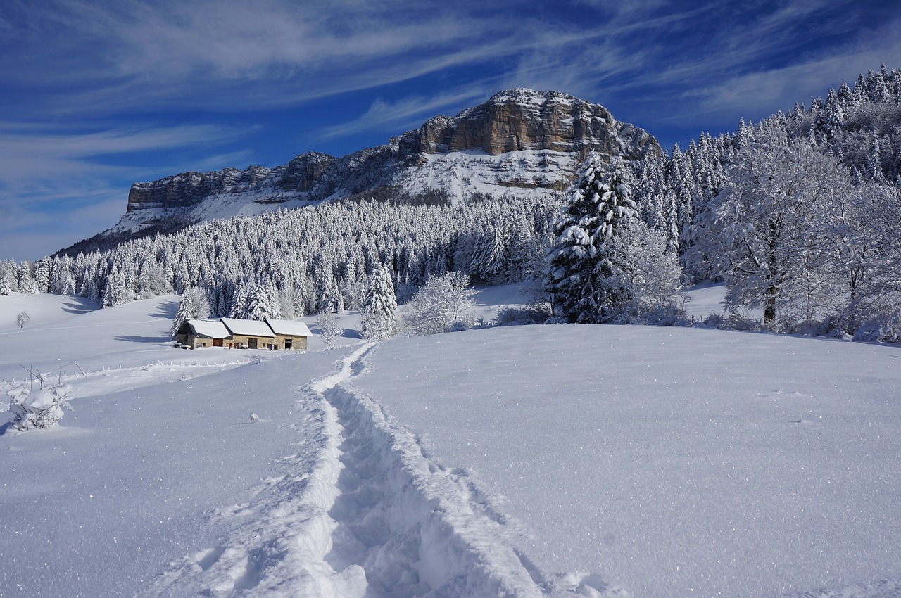 mountains  snow  nature free photo