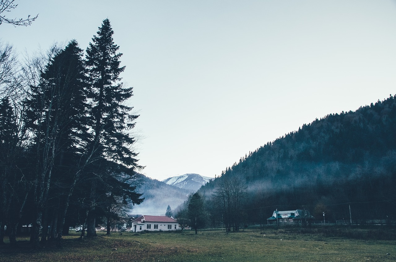 mountains  fog  evening free photo