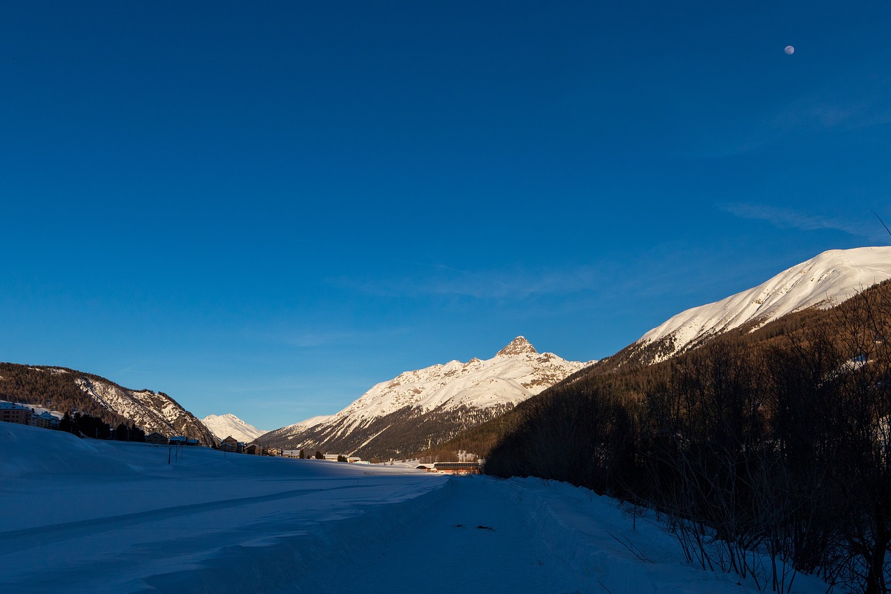 mountains  blue  evening free photo